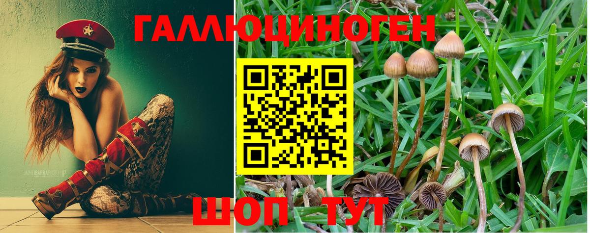Галлюциногенные грибы Psilocybine cubensis  сколько стоит  Корсаков  Вход с VPN 