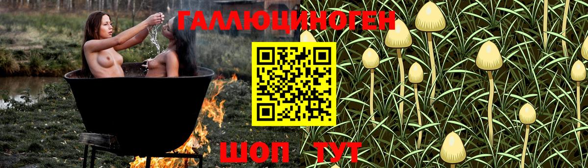 Псилоцибиновые грибы Cubensis Корсаков